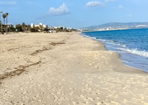 اراضي في الحمامات الجنوبية ابتدأ من  150د ا المتر a vendre - image 2