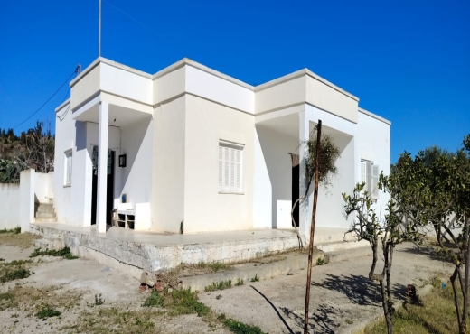a vendre une maison  avec un terrain