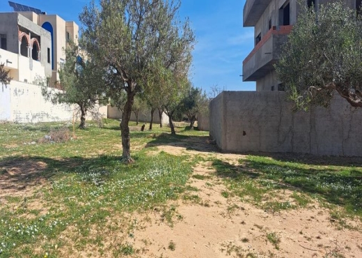 a vendre un lot de terrain rectangulaire de 200m²