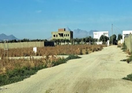 av 1000m khomssa hamammet sud