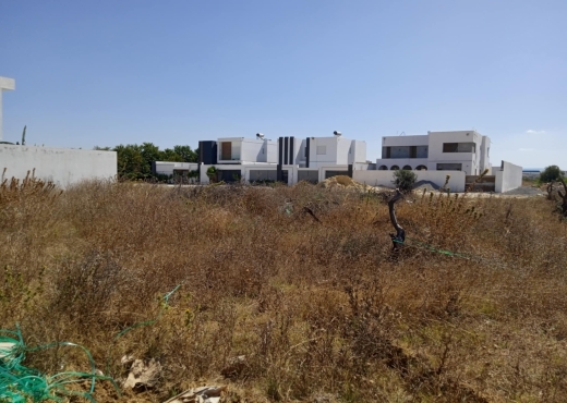 A vendre 1000m sidi hammed bareket essahel