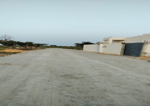 اراضي في الحمامات الجنوبية ابتدأ من  150د ا المتر a vendre - image 4