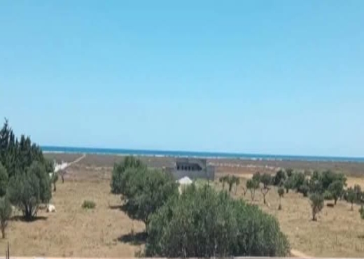 اراضي في الحمامات الجنوبية ابتدأ من  150د ا المتر a vendre