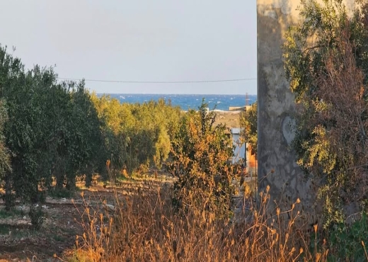 216m proche yessmin hamammet - image 2