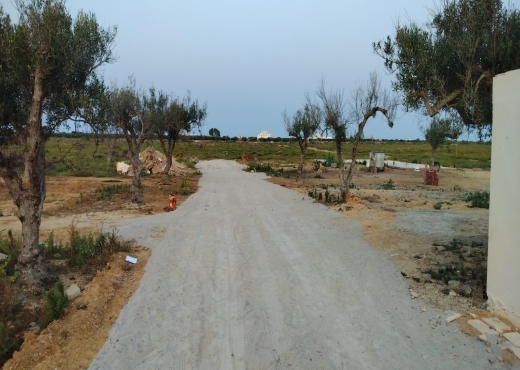 A vendre 520m hamammet sud klm 71