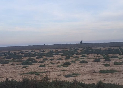 AV terrain elkhomssa hamammet sud