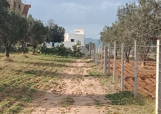 AV terrain cote plage klm71 hamammet sud - image 2