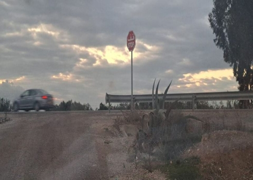 AV 300m aklm 71 hamammet sud