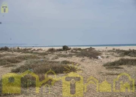 A vendre 5000m a klm 71 hamammet sud