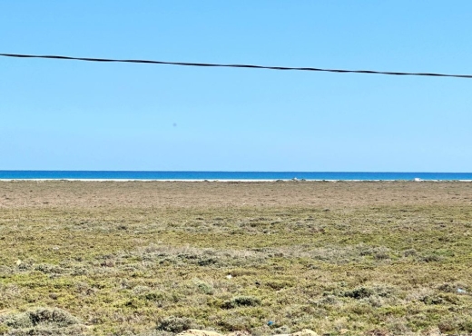 av 450m plage hamammet sud