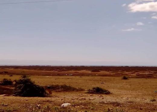 AV terrain elkhomssa hamammet sud - image 2