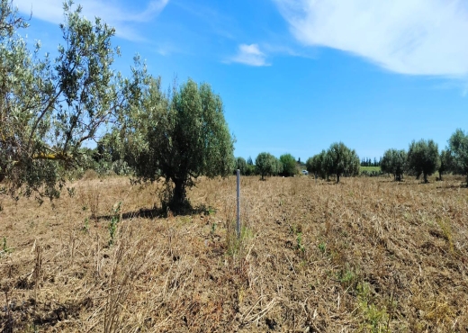 A vendre 2000m borj hfaydh hamammet