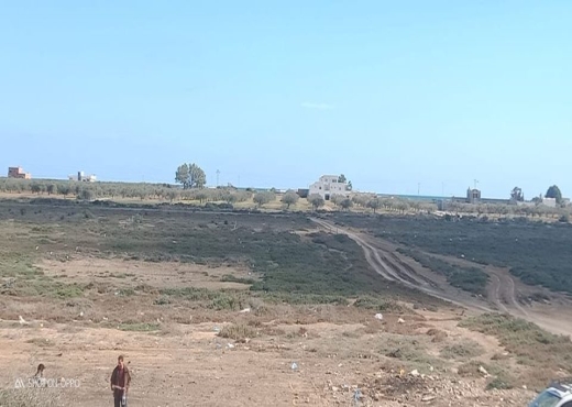 AV 300m aklm 71 hamammet sud - image 2