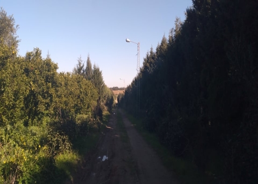 A vendre 2000m borj hfaydh hamammet - image 2