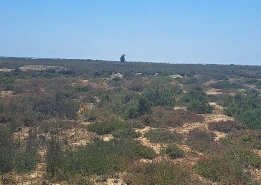 av 1000m khomssa hamammet sud